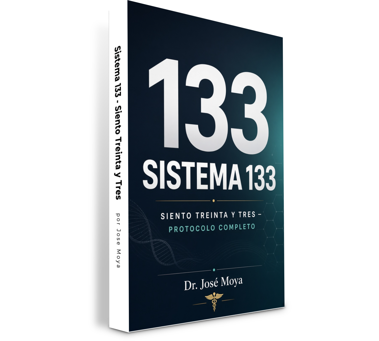 Sistema 133